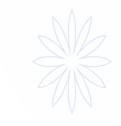 赏金大对决（Wild Bounty Showdown）-PG电子游戏免费试玩入口