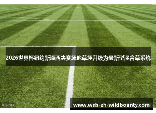 2026世界杯纽约新泽西决赛场地草坪升级为最新型混合草系统