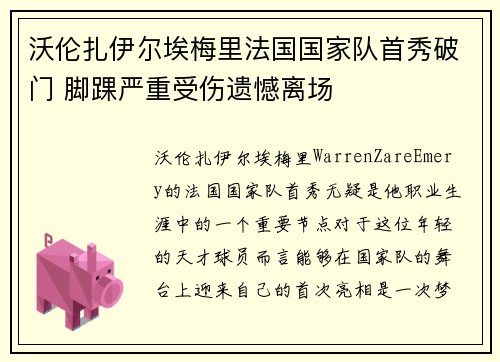 沃伦扎伊尔埃梅里法国国家队首秀破门 脚踝严重受伤遗憾离场